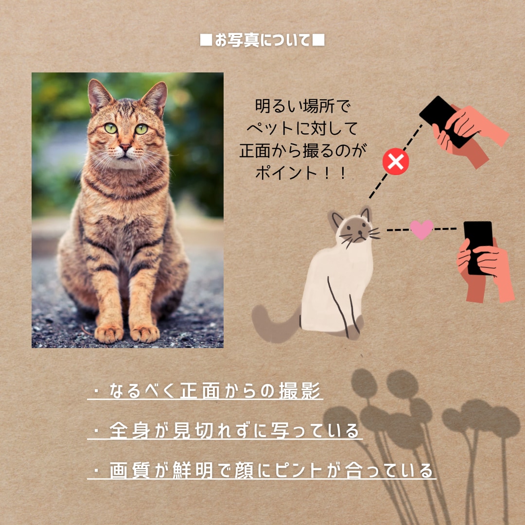 ペットがテラリウムに入っているイラストを作ります ■デジタルイラストの画像データを３枚納品■ イメージ4