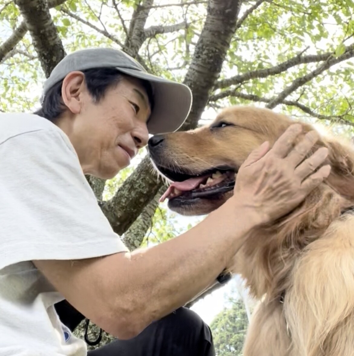 懐かない野犬(保護犬)が家族になるサポートをします (水族館で多くの野生動物経験を、野犬のしつけに活用) イメージ2