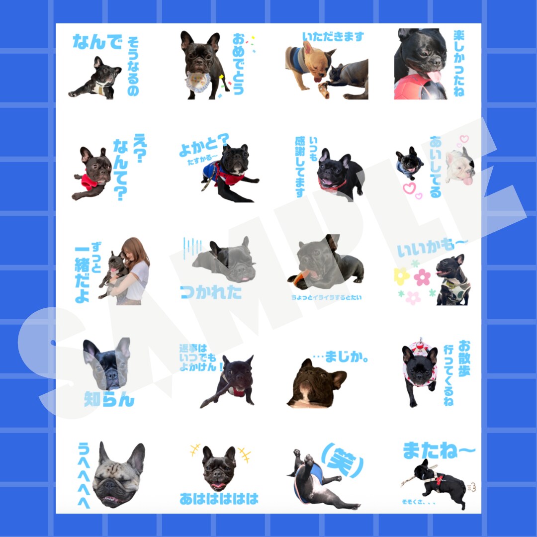 ペット•お子さまのLINEスタンプ作成します ついつい毎日使いたくなる個性溢れるLINEスタンプ イメージ3
