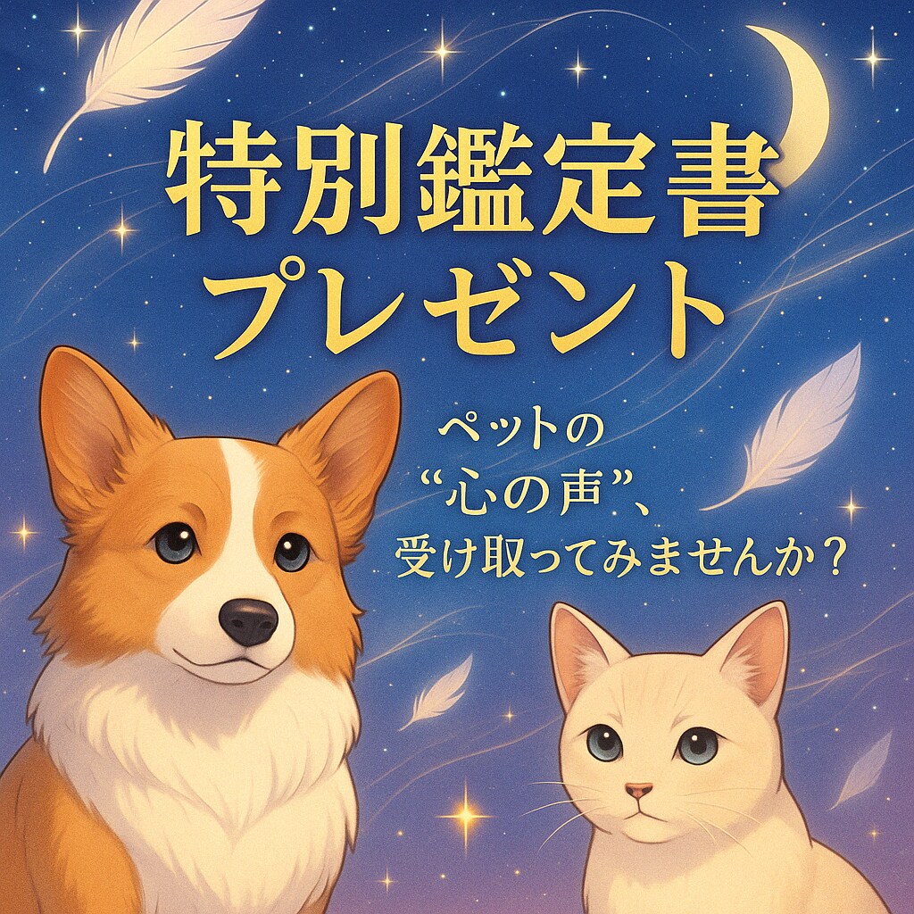 飼っているペットの心の声を読み解きます ⭐︎鑑定書付き⭐︎“あの子の声”を感じるスピリチュアル占い イメージ1