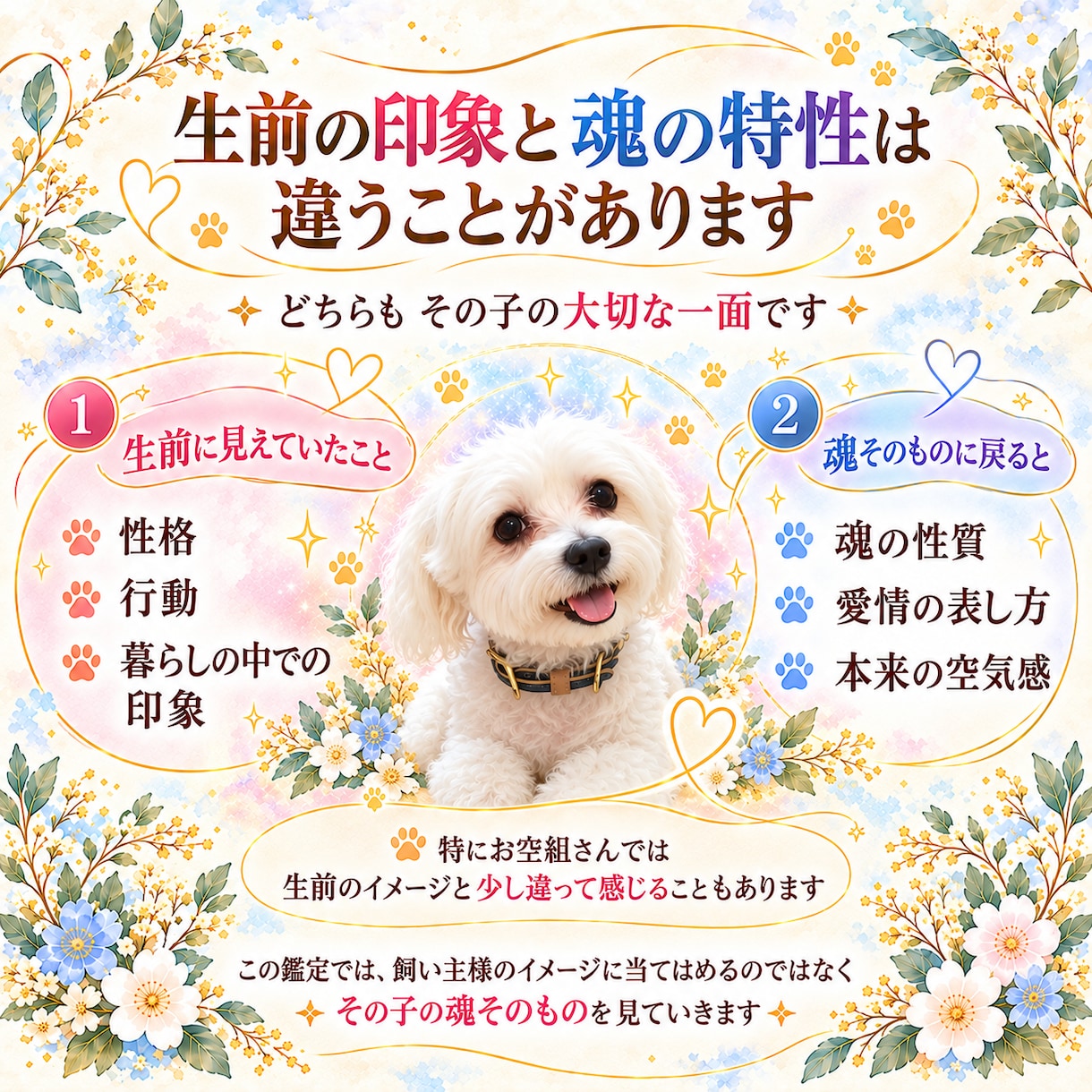 ペットさんの魂の色と特性を読み解きます 〜この子は、どんな魂？色と質感から見ていきます〜 イメージ4