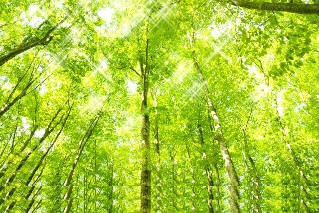看護師の美容皮膚科への転職相談に乗ります 転職したいけど不安でできない方向け イメージ1