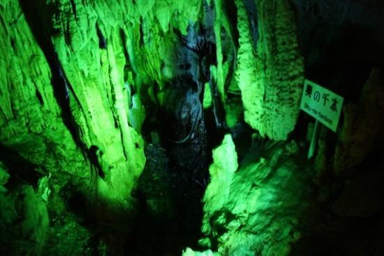 高知の歩き方、楽しみ方教えます 高知の旅行についてアドバイスします。 イメージ5