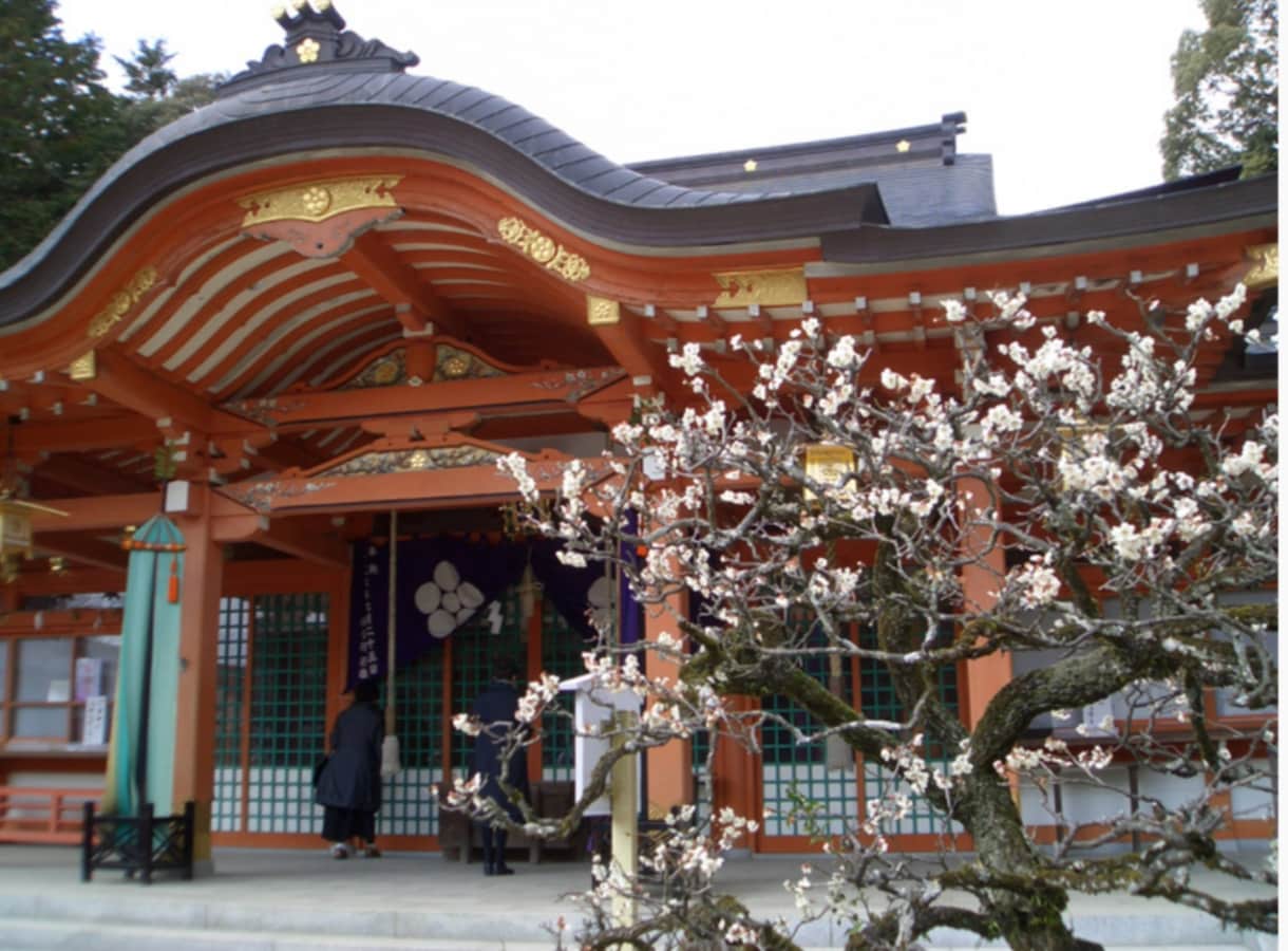 学問の神様・菅原道真公に参拝代行致します 〈ご祈祷料八千円+御守り千円含みます〉 イメージ1