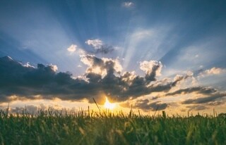 貴方の悩みについて、全身全霊をかけて相談にのります 恋愛、仕事、人間関係、子育てなど、どんな悩みでも イメージ1