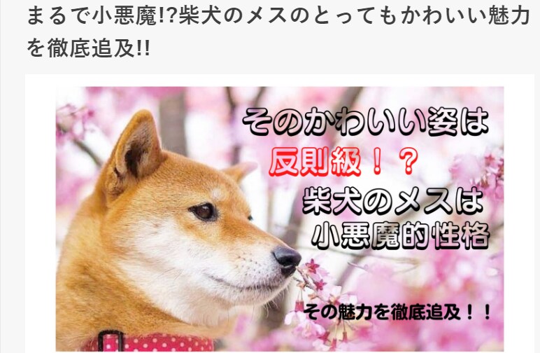 わかりやすく、読みやすいライティングします 「SEO × 読みやすさ」に特化したライティングいたします。 イメージ1
