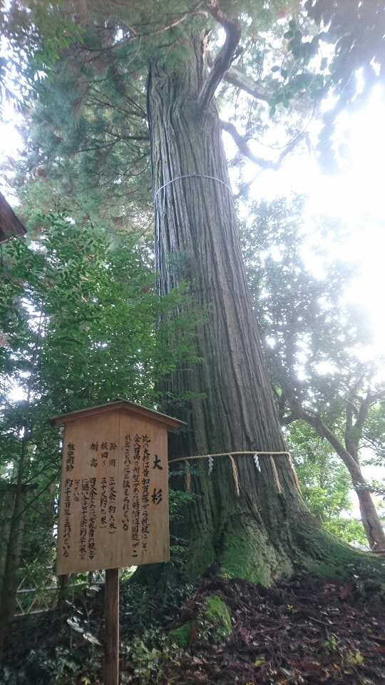 ☆タロットにて占います☆ イメージ1