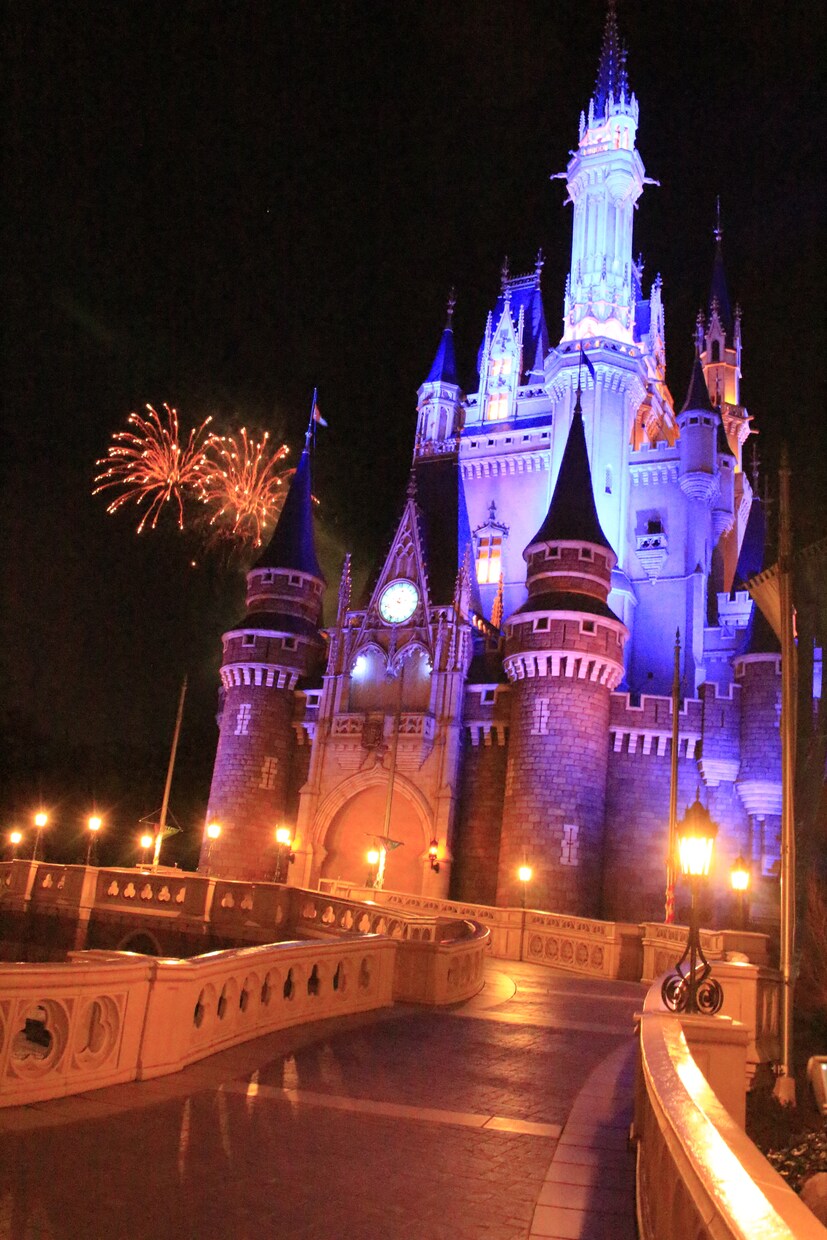 東京ディズニーランド、シーの攻略術教えます 年間パスポートを持っているディズニーファンが教えます。 イメージ1