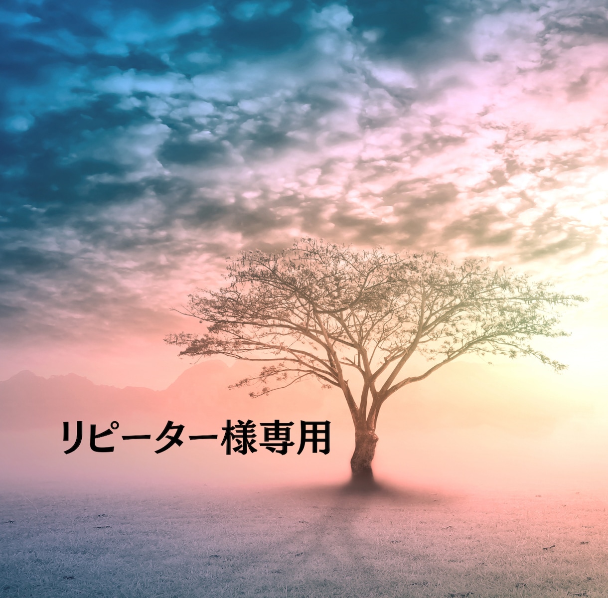 リピーター様限定！ご依頼承ります 一度でも私のセッションをうけられた方限定 イメージ1