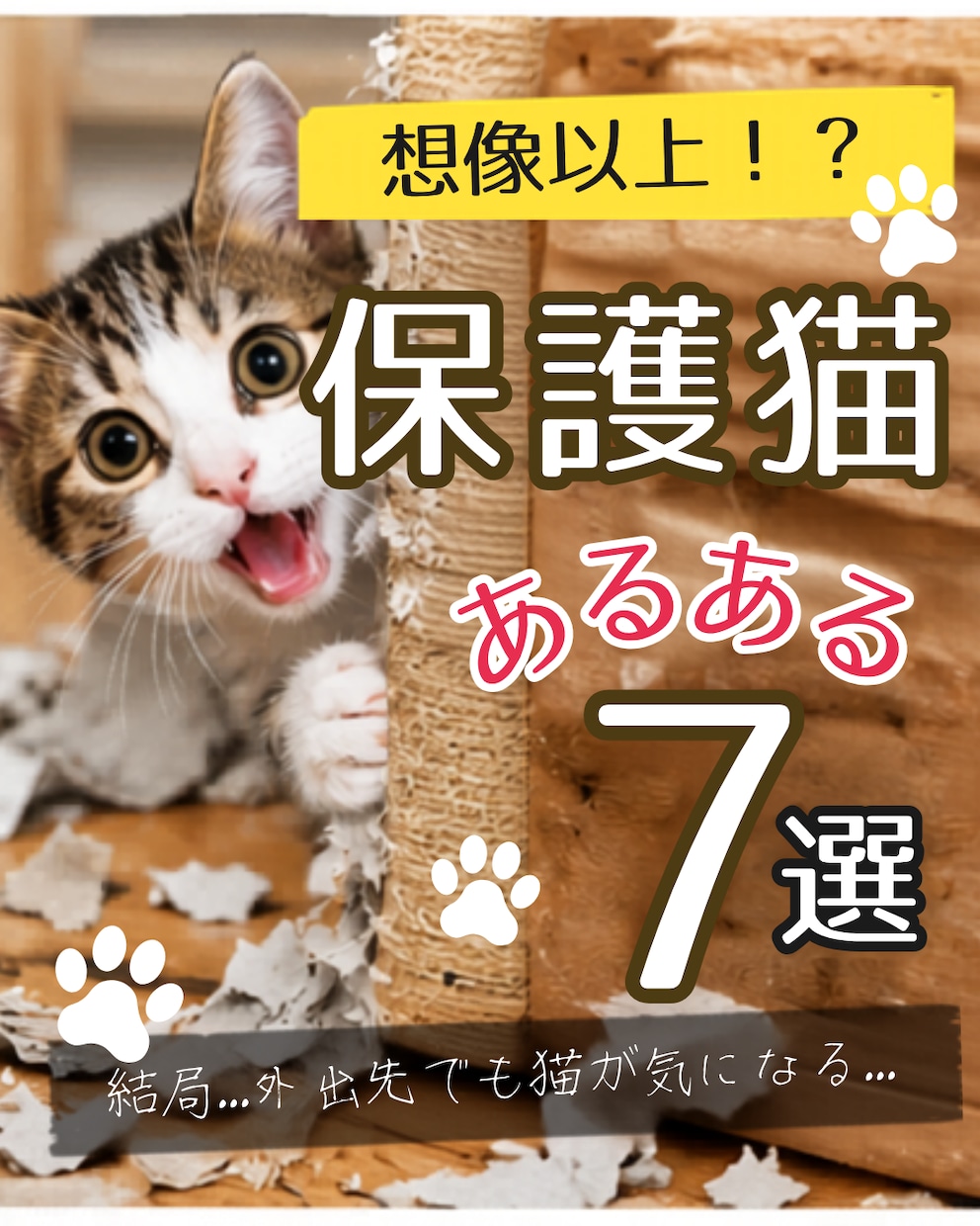 猫instagramの投稿や広告画像制作します ねこに特化！イメージに寄り添い丁寧にデザイン制作いたします！ イメージ1