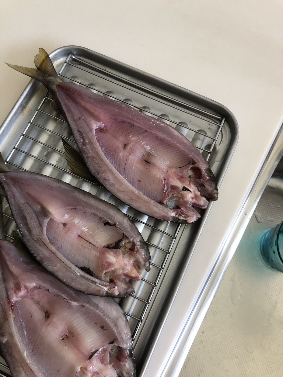 熱海、伊東周辺の釣りをガイドします お一人様からファミリーまで、全て対応させて頂きます イメージ10