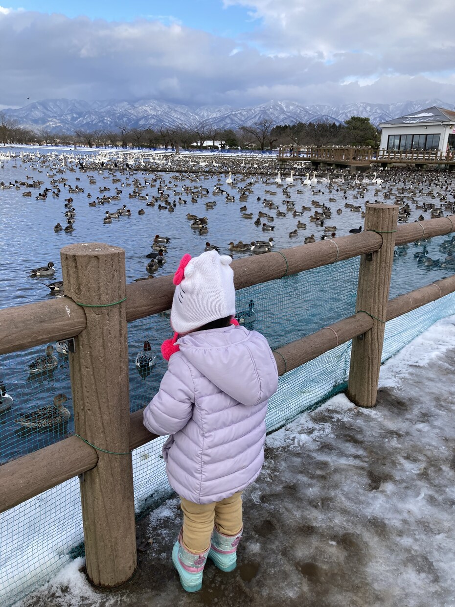 子連れで旅行の計画立てます 予算内で最高な思い出創りませんか？ イメージ6