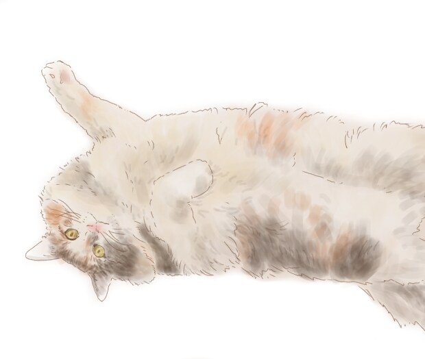 優しいタッチのペットのイラスト作成します 貴方のペットの写真を元にふんわりしたイラストをお描きします。 イメージ9