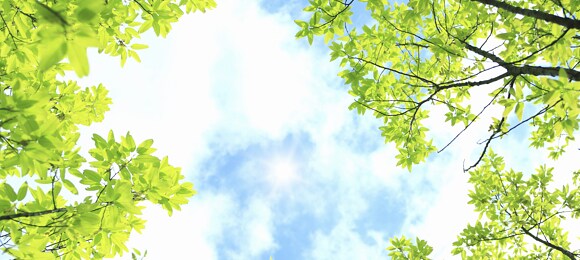 今、悩みで困っている方の力になります チャットが終わった頃には相談者様の笑顔を目標に頑張ります イメージ1
