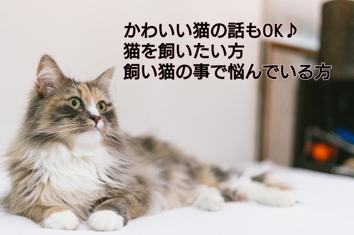 現役看護師＊LINE感覚♪30分じっくり話します 電話は苦手でも文字なら話せるかも✨心や体の悩み・愚痴・雑談 イメージ9