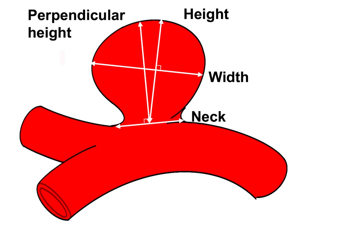 medical illustratorやります 広告・論文や学会発表用のイラスト作成します イメージ1