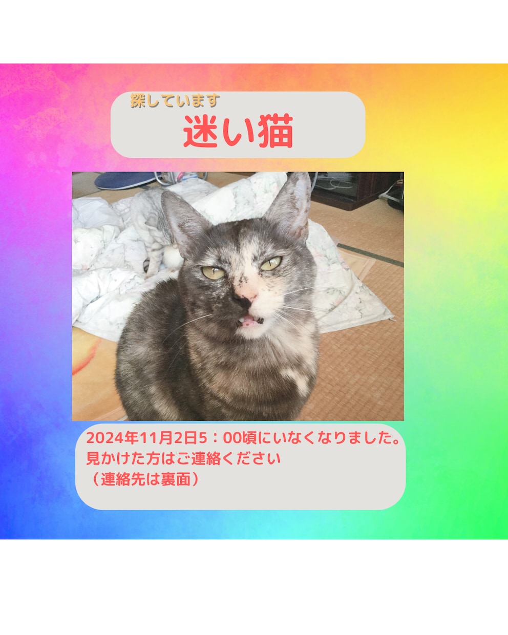 迷子猫探し用のデザインを制作します ポスターやSNS、ブログ掲載用画像など。コピー・文章にも対応 イメージ1