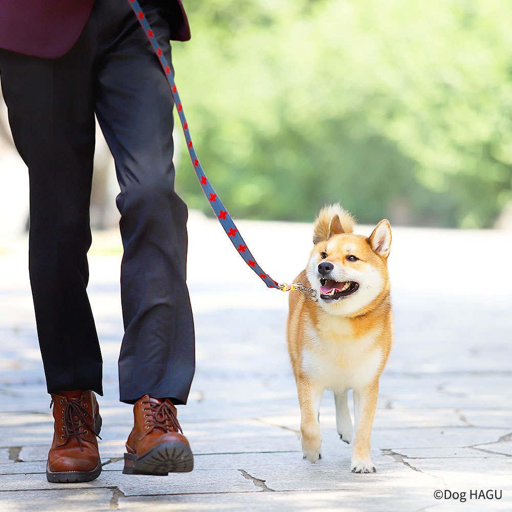 経験豊富な犬のスペシャリストがお悩み解決します 年間800件以上のお悩みに対応中♪丁寧に解説いたします。 イメージ2