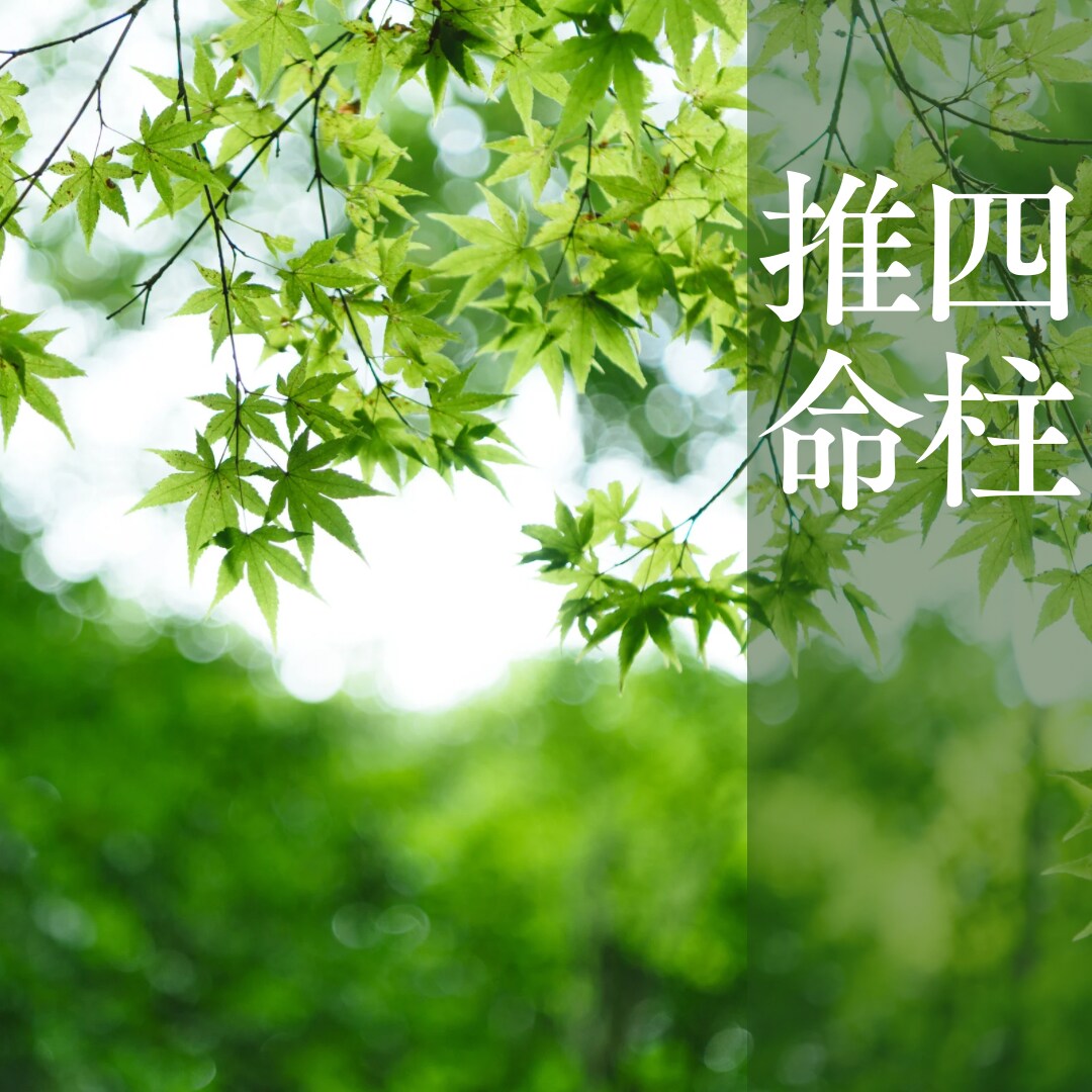 人生の取り扱い説明書をお渡し出来ます 貴方が短所と思ってる事を長所に変えてみませんか？ イメージ1