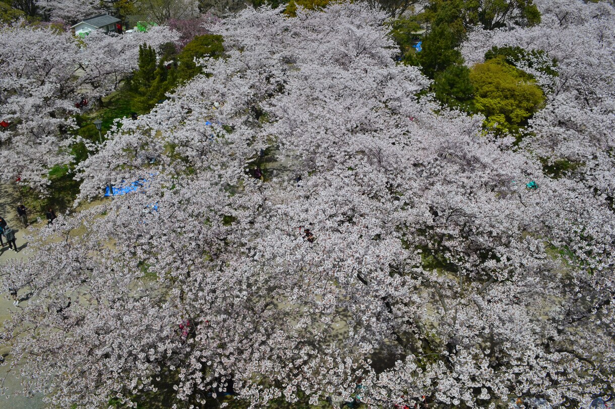 写真を印刷して販売、またはデータ販売します 幻想的、抽象的、アート写真、独創、個性、 イメージ2