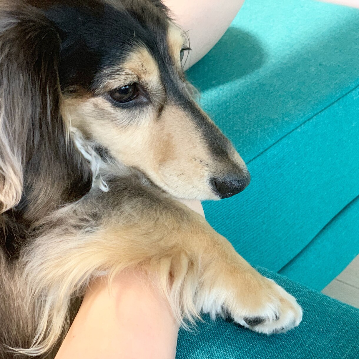 24歳の会社員があなたのカミングアウト聞きます 夢や悩み、誰にも言えない事を、言って気持ちを楽にしましょう イメージ2