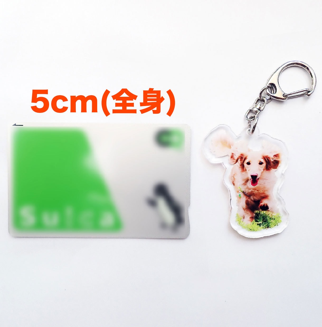 大切なペットのアクリルキーホルダー作ります 完全オーダーメイド！スマホの写真を送るだけでOK！ イメージ6