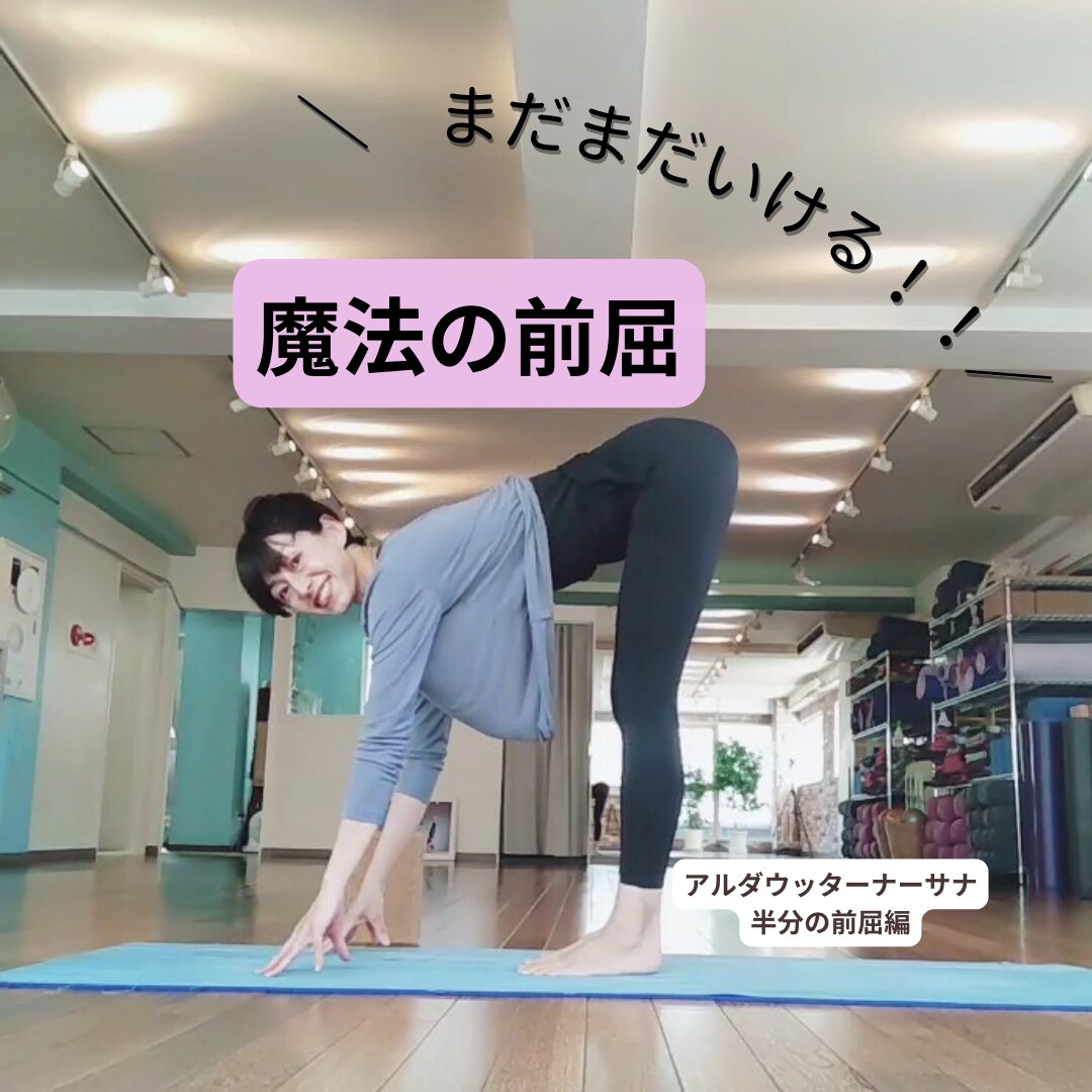 新米ヨガイントラさん専用！基本アーサナ伝授します 自分のアサナをチカラに変えて、レッスンを楽しむイントラに！ イメージ1