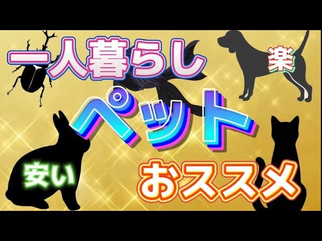 動画編集会社が10月まで格安で動画編集を行います ココナラ新規出店！割引価格でご案内中！ イメージ6