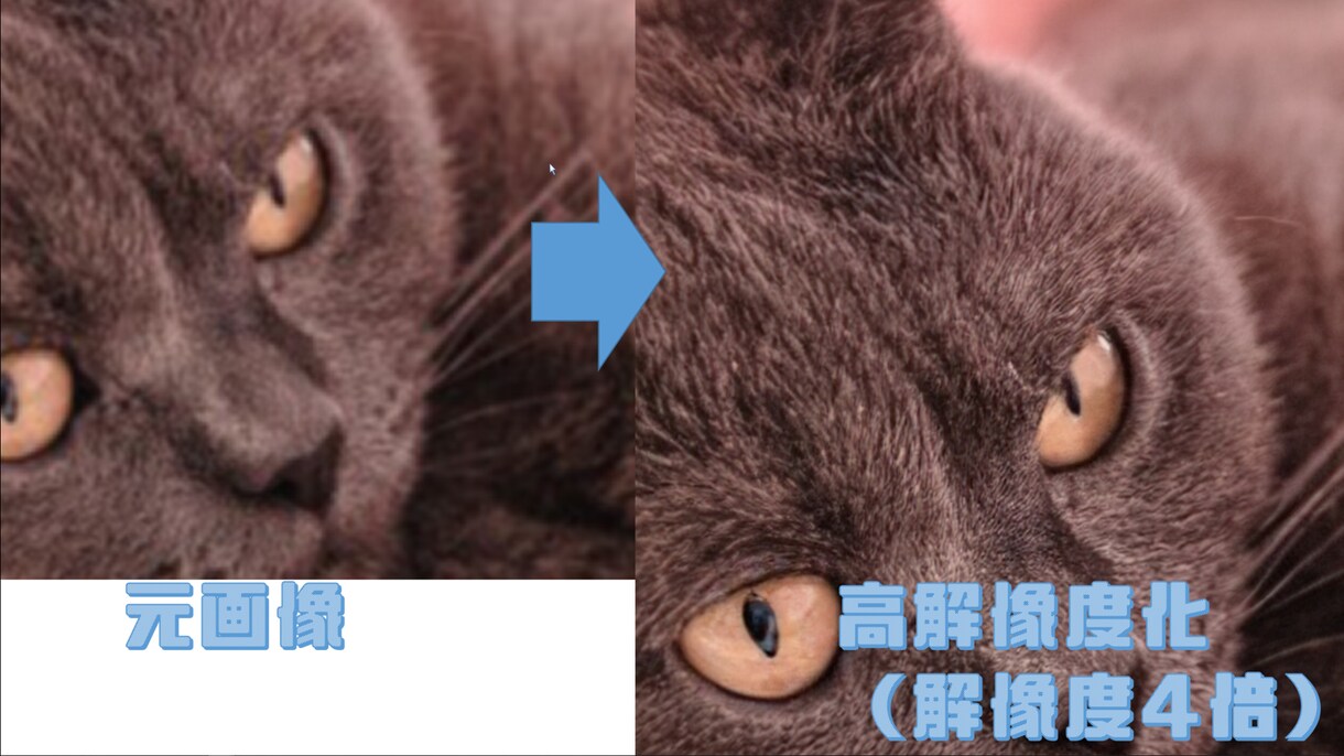 一枚100円で写真をAIの力で高画質、綺麗にします 超激安で解像度の低い画像をAIの力で精細にします！ イメージ4