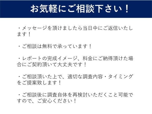 中小企業診断士が市場調査を代行・サポートします オーダーメイドで新規事業開発・補助金・競合調査等承ります イメージ6