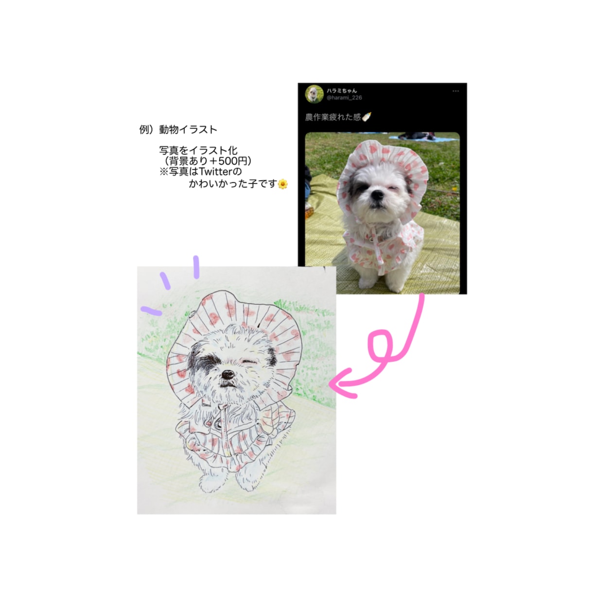 動物や人の似顔絵を描きます アイコンやプレゼントなどにご活用ください(^^) イメージ7