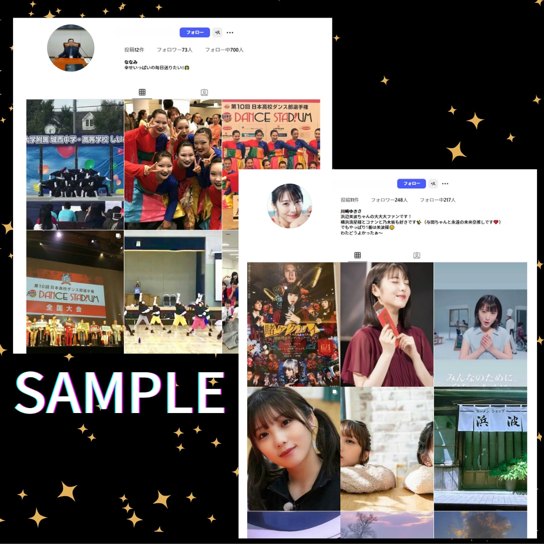インスタ✦リアル日本人フォロワー500人増加します ゆっくり増加！Instagram日本人フォロワー✦振分可能 イメージ3