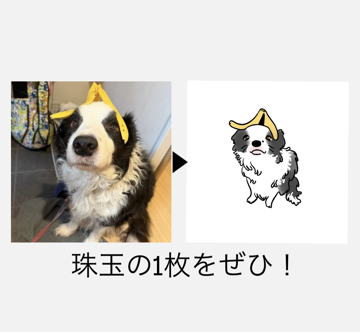 ペットの似顔絵をゆるく描きます ご家族の動物をゆるく描かせていただきます！ イメージ2