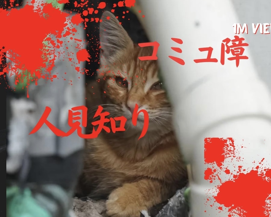 元引きこもり女が人見知りとコミュ障の隠し方教えます 我こそはコミュ障という方☆対戦よろしくお願いします(^^) イメージ1