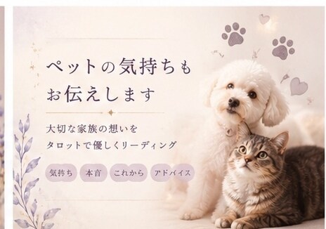 不安な気持ちを優しく整理します 介護士経験を活かし心に寄り添います。 イメージ2