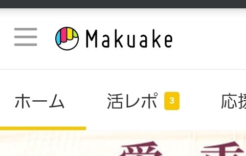 初めてのクラウドファンディングお手伝いします キャンプファイヤー、Makuake、エンジンなどなど、 イメージ2