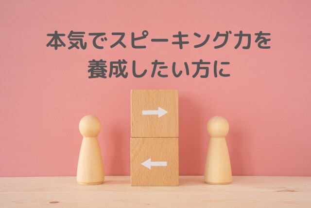 集中★英会話力養成48000円毎日サポートします 講師歴13年のパーソナル英会話トレーナーが徹底・誠実サポート イメージ1