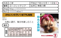 うちの子カードデザイン制作します うちの子の自己紹介になにかカードが欲しい方にオススメ イメージ4
