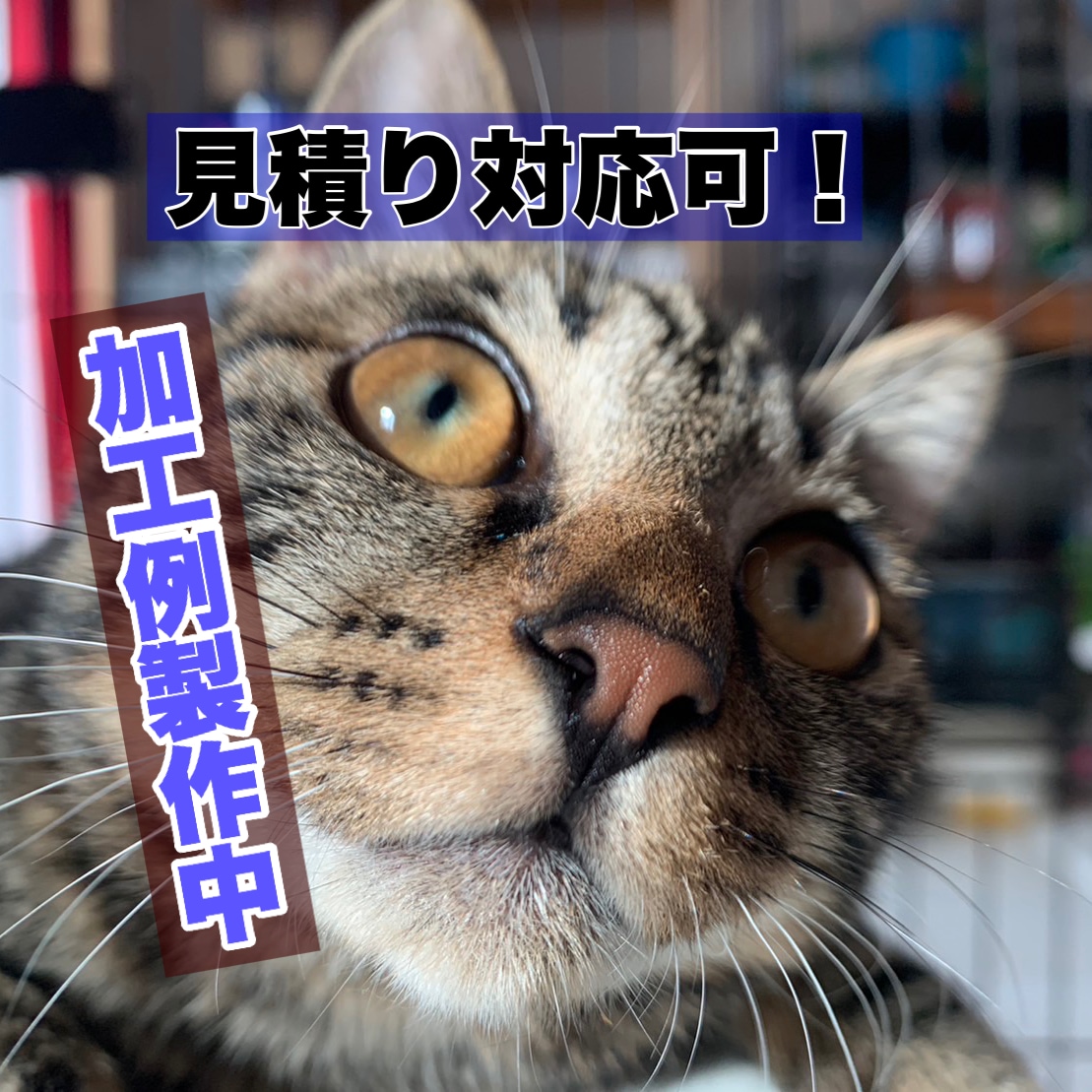 魅力を引き出すプロの写レタッチを承ります 結婚式もSNSも！心ときめく最高の一枚に仕上げます イメージ5