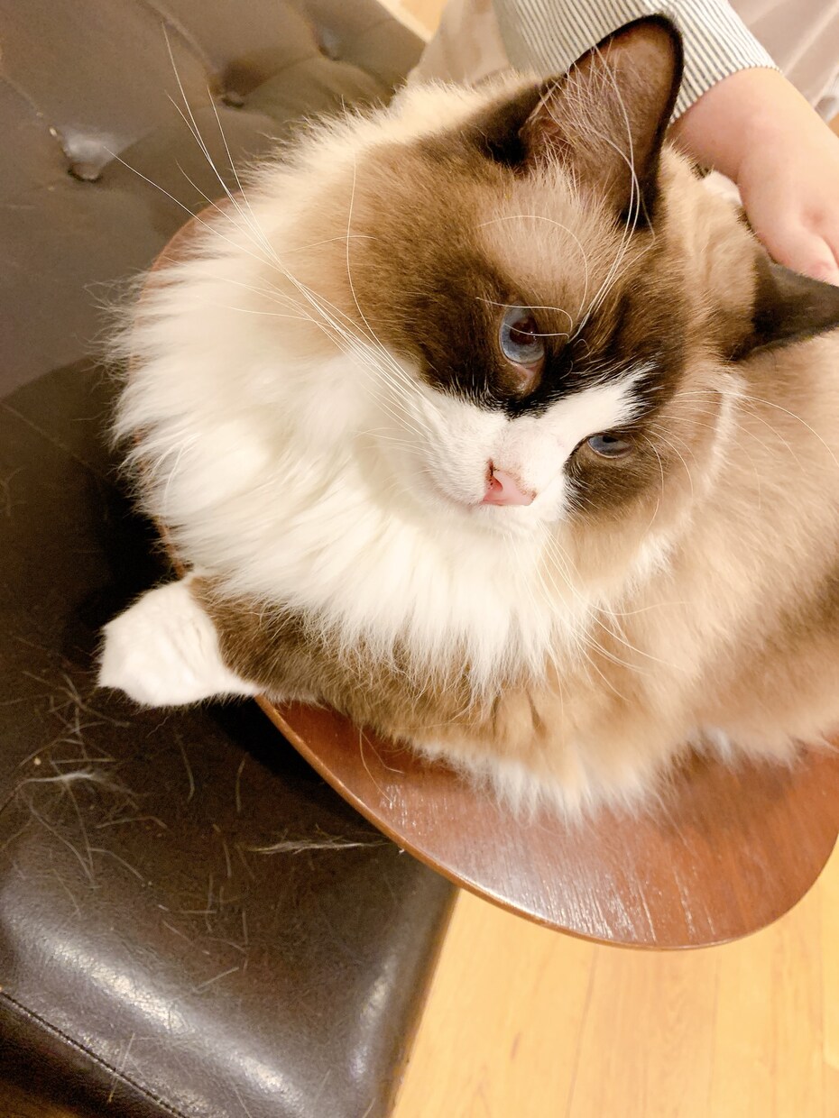 話したいことを話したいだけ☆チャットで聞きます 1時間みっちり相談したいor1日ゆったりお話したい人向け☆ イメージ3