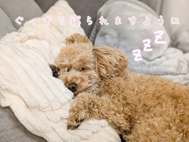 愚痴やご相談聞きます 私と一緒に気軽にお話しませんかʚ♡ɞ イメージ3
