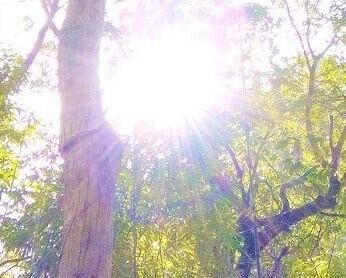 貴方の誕生日をお祝いします 貴方のお誕生日のためのヒーリング画像言葉選びお送りいたします イメージ2
