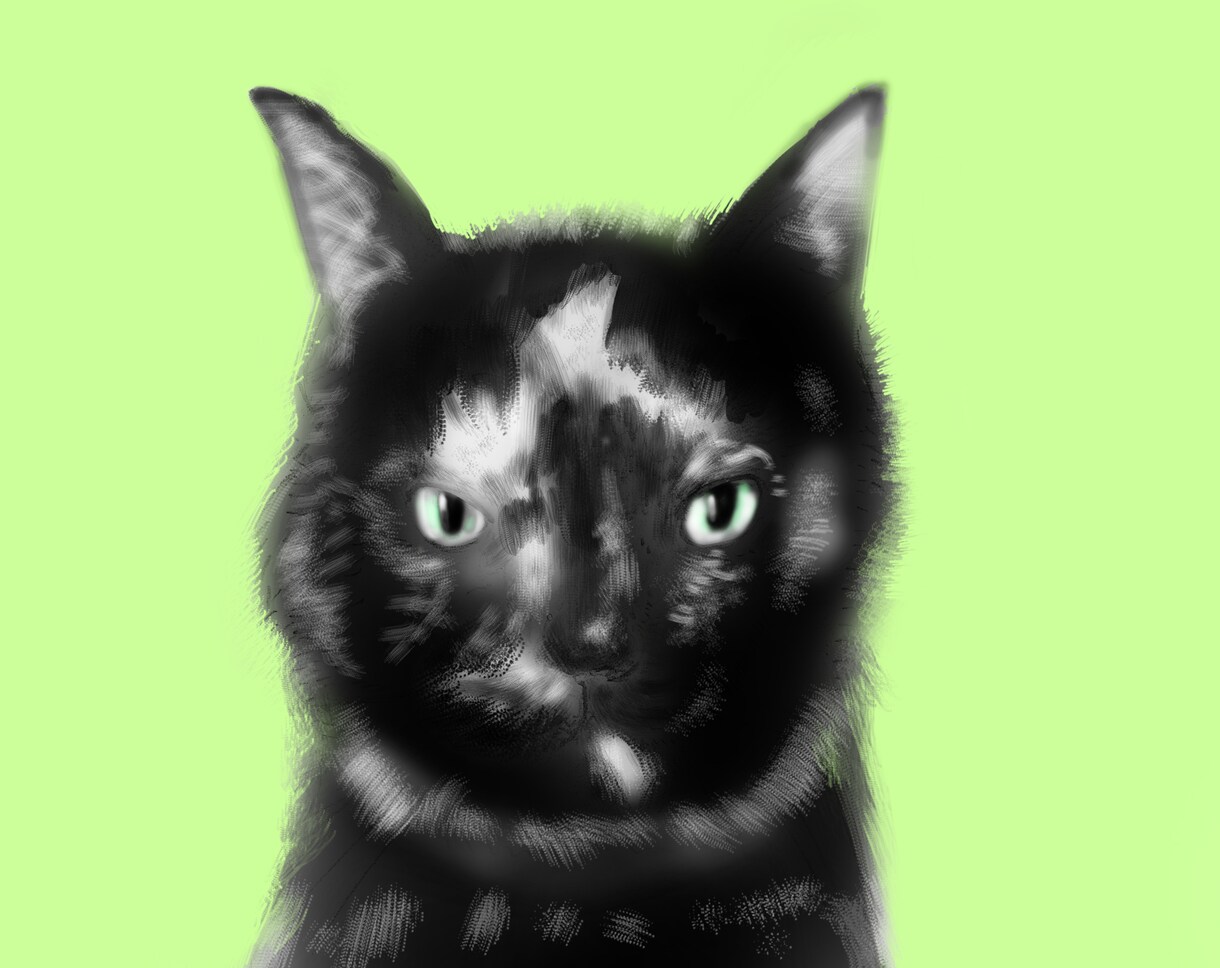 あなたの「猫ちゃん」の似顔絵描きます 〜NEKOnoE〜あなたの猫の顔を絵に！ イメージ2