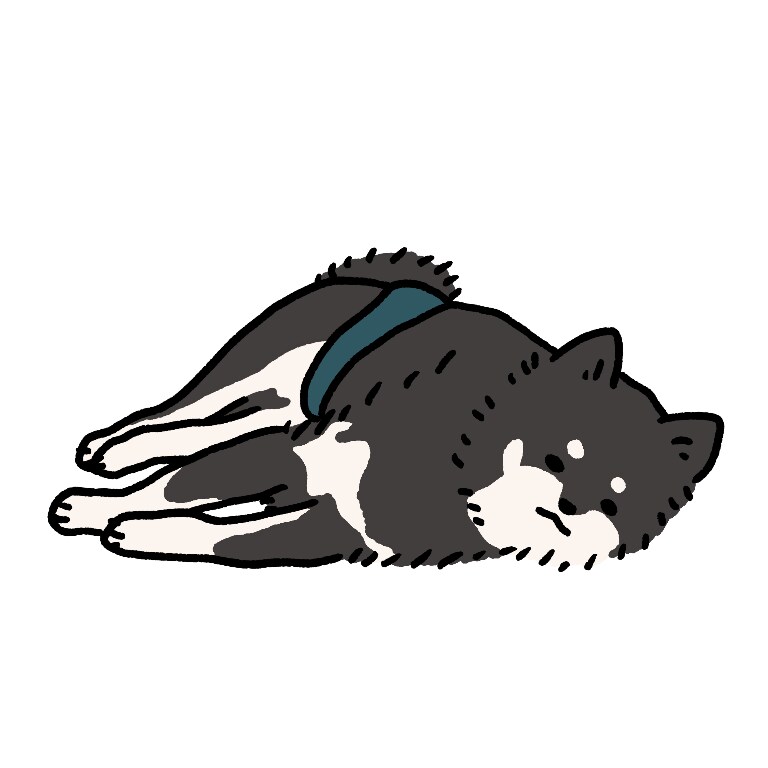 大切なペットのイラストをかわいくお描きします ペットのイラストをかわいくデフォルメしてお描きします！ イメージ5