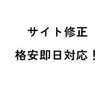 表示崩れ・スマホ崩れを即修正します 実務経験10年のエンジニアが即対応いたします。 イメージ1