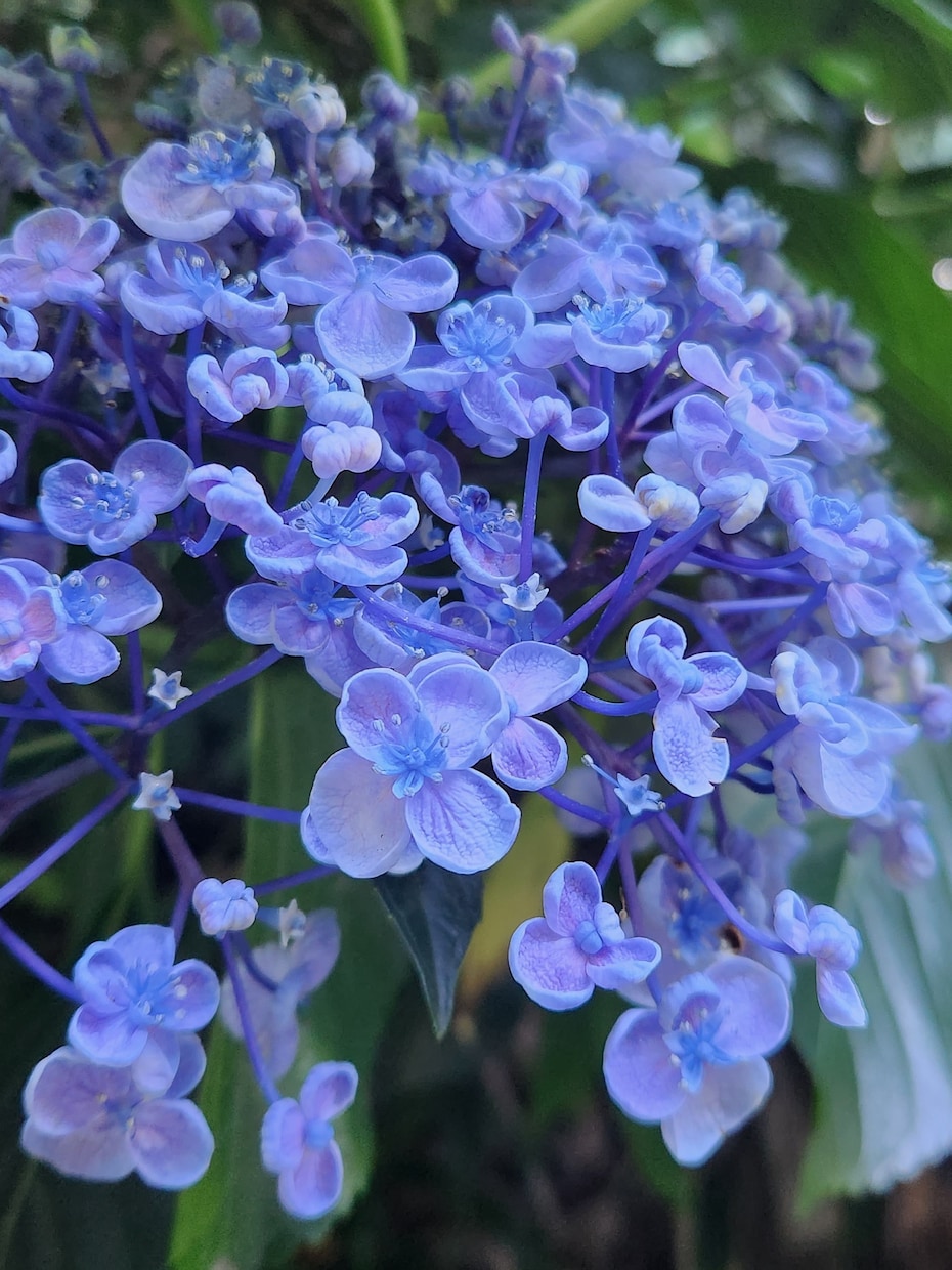悩んでますか？それがなんでも一緒にいます 悩むことは悪くない、だが、悩むだけだと貴方がもったいない！ イメージ2