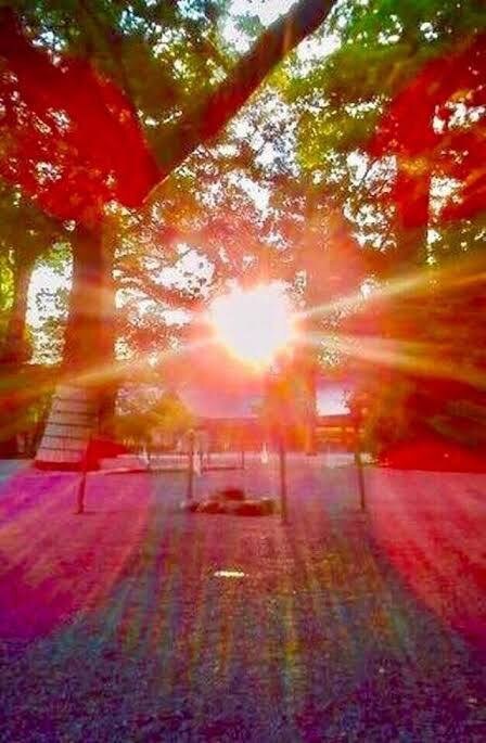 初回限定★あの人の本音見極め速報占います 恋愛引き寄せタロット★あの人の想い見極め速報〜ふたりの宿縁 イメージ7