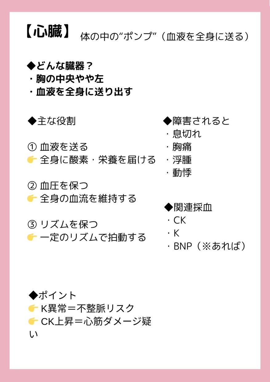 新人看護師向けのあんちょこ107種類あります 現場でそのまま使えるあんちょこはココだけ イメージ7