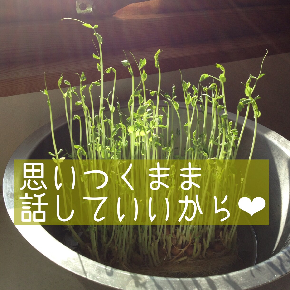 ふわっと話しをおききします やるせな〜いモヤモヤに寄り添います。 イメージ3