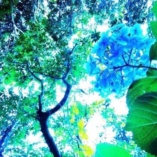 写真提供・写真・画像加工いたします 感動を与える美しい作品をあなたに！ イメージ6